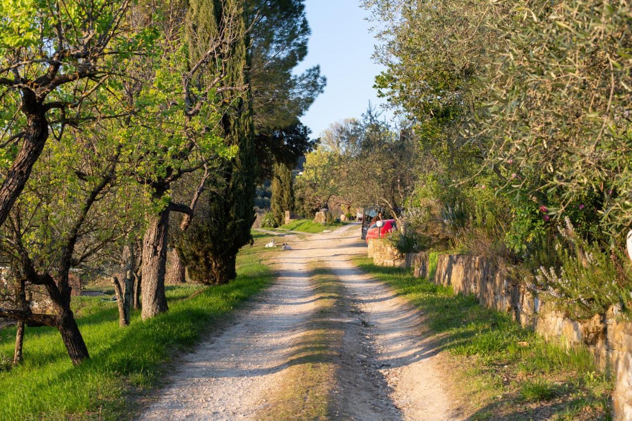 B&B Locanda Degli Aromi San Jacopo al Girone Luaran gambar
